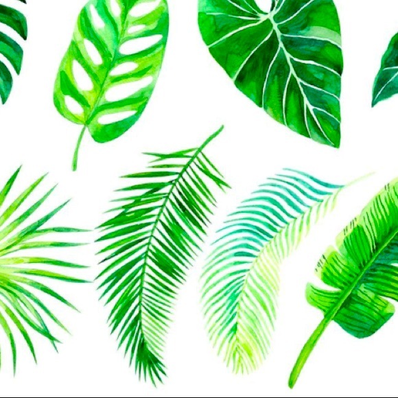 Meet your Posher, Becca - Picture 1 of 1